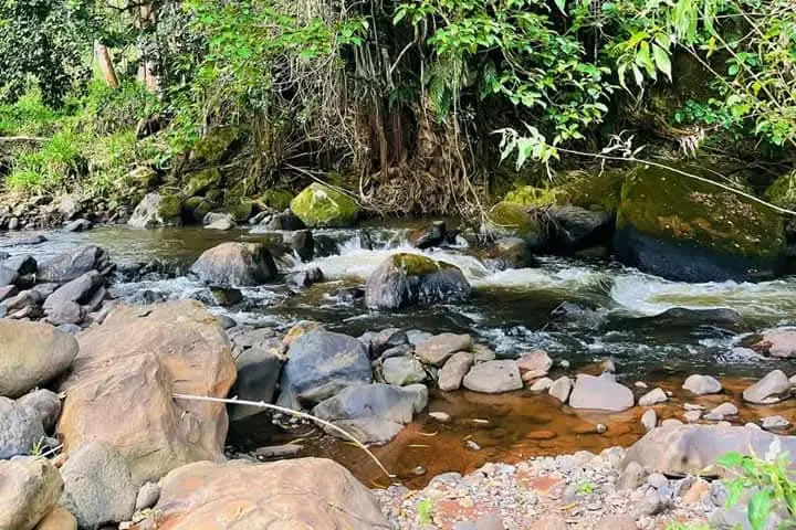 river_mathioya